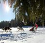 KH_2011_0011
